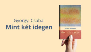 gyorgyi-csaba-mint-ket-idegen-kiemelt-kep