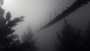 foggybridgeinlifethrillcom