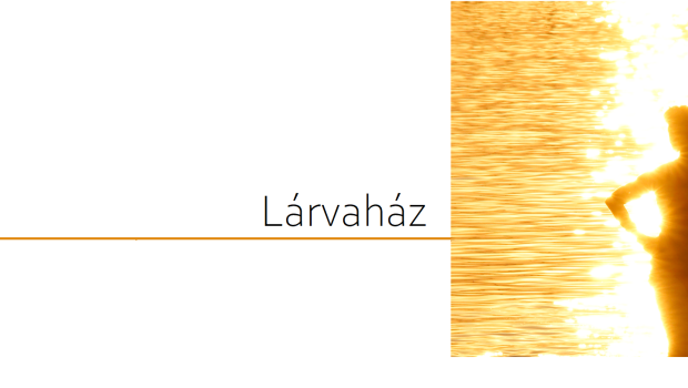 larvahaz