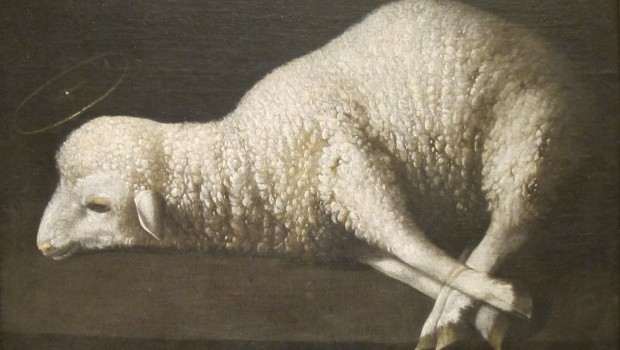 Agnus_Dei_(The_Lamb_of_God)_by_Zurbarán,_San_Diego_Museum_of_Art