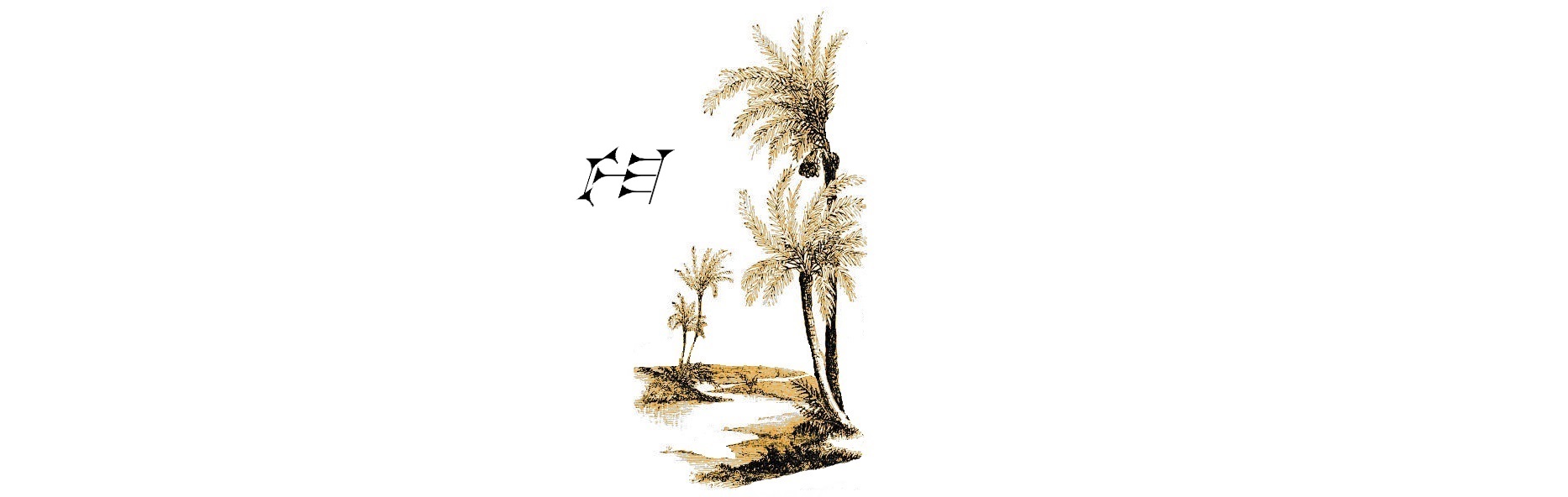 Date Palm trees (Phoenix Dactylifera) in rural Israel. Vintage etching circa mid 19th century.