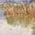 nd (Large)