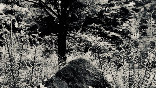 kr (Medium)