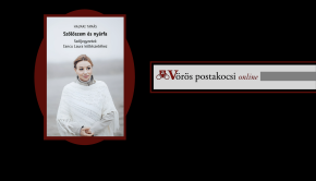 vp (Large) (2)