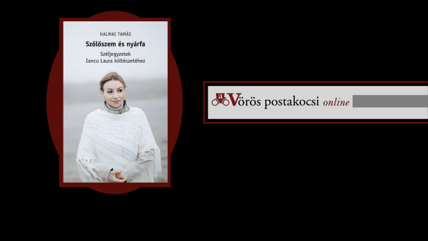vp (Large) (2)