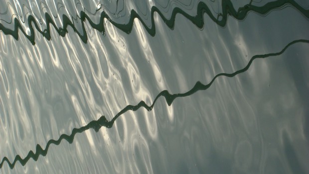 Biblia, történetek, huzalok....Mázik Erna fotója