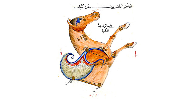 The constellation Pegasus ("The Winged or Flying Horse") as depicted in the influential star atlas of the Persian astronomer Abd al-Rahman al-Sufi (10th cent.). In this beautifully illustrated copy, made around 1435 for the Samarkand astronomer-ruler Ulugh Beg, the constellation is shown as depicted on a celestial globe (i.e. mirrored as seen in the night sky). The brighter stars are labelled in Arabic which accurately translate the Greek names listed in the star catalogue of Claudius Ptolemy's Almagest (2nd cent.). The four brightest stars, forming the easily recognisable "Square of Pegasus" visible in the autumn and the winter night skies, are labelled Matn al-Faras ("The Horse's Back" = Alpha Pegasi), Mankib al-Faras ("The Horse's Shoulder" = Beta Pegasi), Surrat al-Faras ("The Horse's Navel" = Alpha Andromedae) and Jinah al-Faras ("The Horse's Wing" = Gamma Pegasi). The names for these stars in common use in recent centuries, which were recently adopted by the IAU WGSN,are Markab (Alpha Pegasi), Scheat (Beta Pegasi), Alpheratz (Alpha Andromedae), and Algenib (Gamma Pegasi). The modern constellation Pegasus also contains the star designated 51 Pegasi, which hosts the first exoplanet discovered (in 1995) around a solar-type star. As a result of the NameExoWorld contest organized by the IAU, the star is now named Helvetios (and the exoplanet, designated 51 Pegasi b, is named Dimidium). The compass directions are labelled in red, i.e. the top is west, bottom is east, left is south and right is north. Image details: BnF ms. Arabe 5036, fol. 93r.