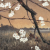 ty (Medium)
