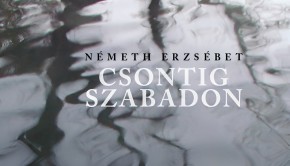 cssz1