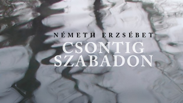 cssz1