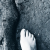 fj
