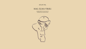 máv1