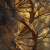 ef (Large)