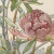 ll (Medium)